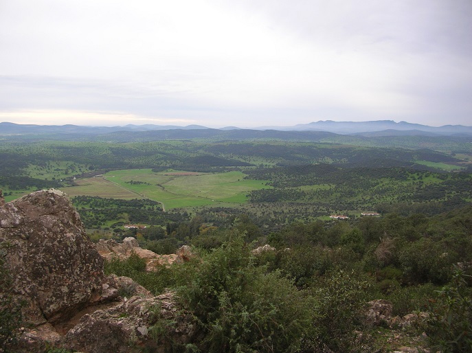 SORTEO DE PUESTOS PARA MONTERIAS EN LA DEHESA DE CASTILSERAS